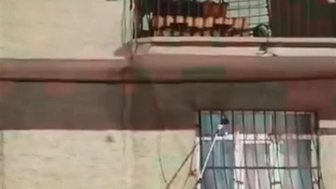 Elazığ'da Pencere Korkuluğunda Yılan Yakalandı