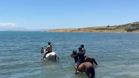 Van Gölü'nde Gençlerin Atlı Serinleme Keyfi