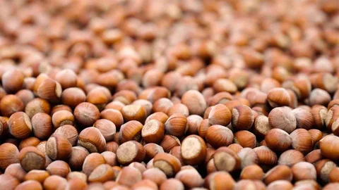 Ferrero'nun Yeni Raporu: Sürdürülebilirlikte İlerleme