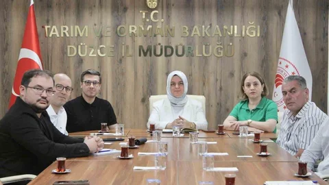 Düzce'de Coğrafi İşaretli Ürünler Satışta