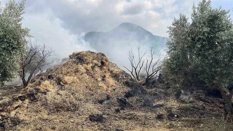Osmaniye'de Saman Balyaları Yandı
