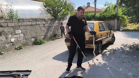 Çorum'da Yılan Kurtarıldı