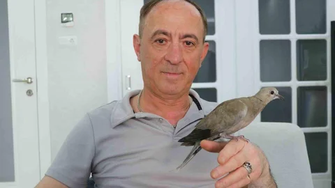 Sivas'ta Kumru Dostluğu