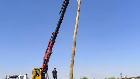Şanlıurfa'da Anız Yangınları Enerji Altyapısını Tehdit Ediyor