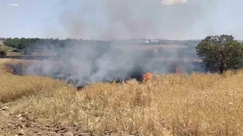 Elazığ'da Arazi Yangını Kontrol Altında