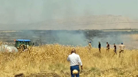 Mardin'de Anız Yangınına Müdahale Ediliyor