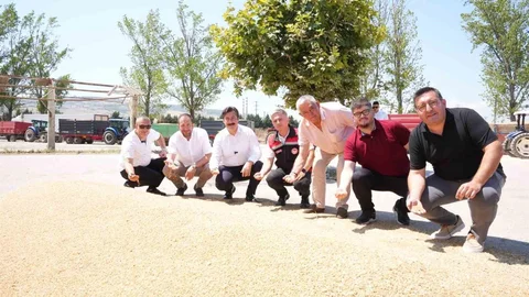 Yenişehir'de Buğday Alımları Başladı