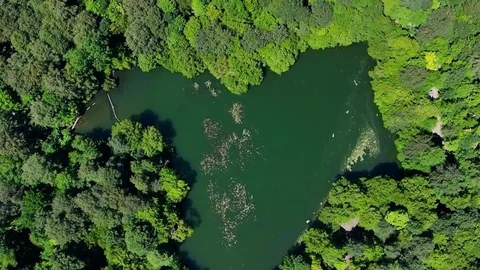 Yedigöller Milli Parkı Havadan Görüntülendi