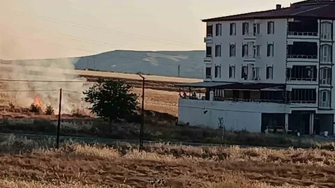 Elazığ'da Buğday Tarlasında Yangın Çıktı