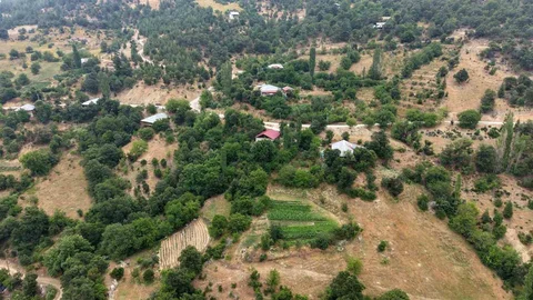 Adana Feke'de Geleneksel Şifalı Bitkiler