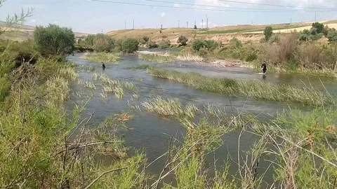Kızılırmak'ta Kaybolan Genç İçin Arama Çalışmaları Devam Ediyor