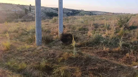 Bilecik'te Kuş Yangına Neden Oldu