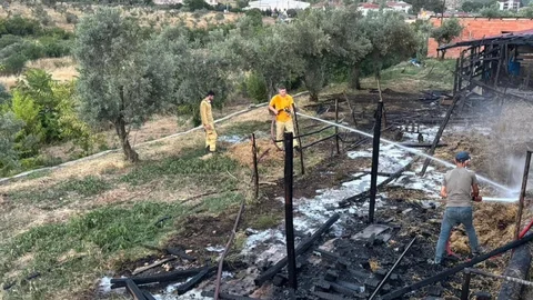 Bilecik'te Ahır Yangını Çıktı
