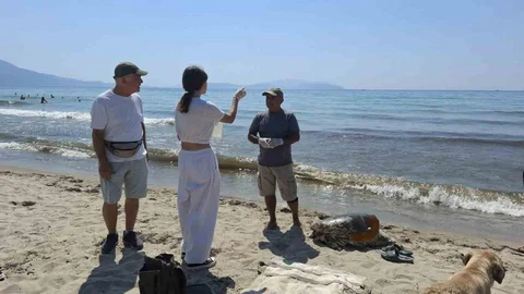 Aydın'da Üç Caretta Caretta Ölü Bulundu