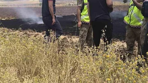 Siirt'te Anız Yangını Kontrol Altına Alındı
