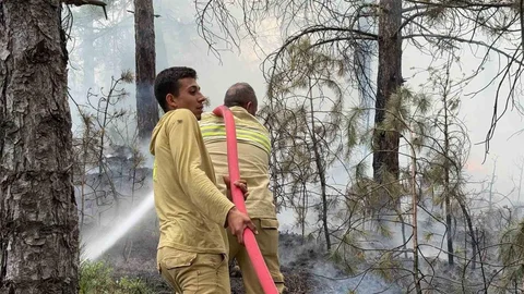 Kütahya'da Orman Yangını Kontrol Altına Alındı
