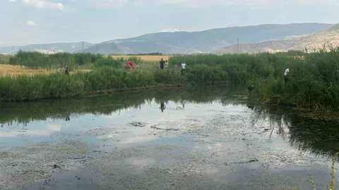 Muş'ta Dereye Düşen Genç Hayatını Kaybetti
