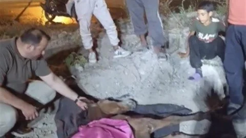 Osmaniye'de Yolcu Minibüsü Atla Çarpıştı