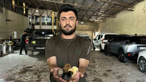 Hakkari'de Girişimci Başarı Hikayesi