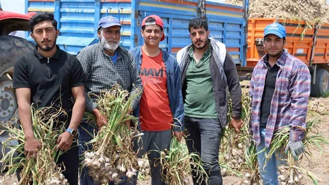 Aksaray'da Başlık Parası Sorunu