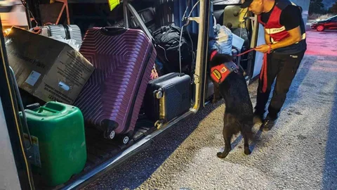 Bilecik’te Trafik İhlallerine Ceza Uygulandı