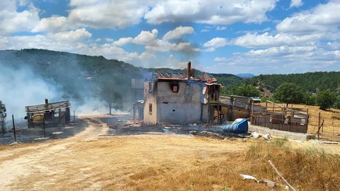 Kütahya'da Orman Yangını 3 Hektar Zarar Verdi