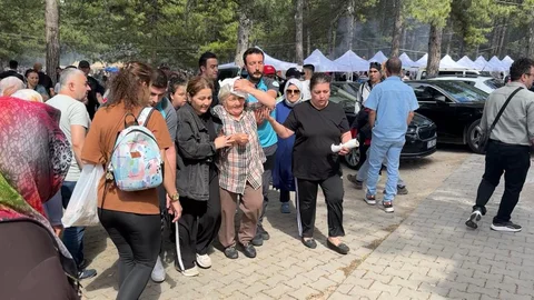 Karabük'te Şenlikte Ağaç Daldan Yaralanma Olayı