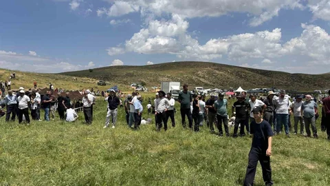 Bingöl'de Çotla Festivali Renkli Görüntülerle Gerçekleşti