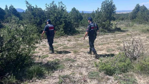 Kütahya'da Orman Yangınlarına Karşı Önlemler Artırıldı