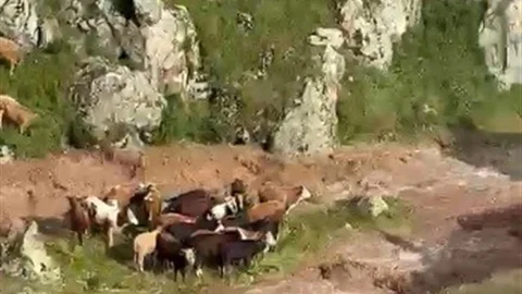 Kağızman'da Sel Felaketi Yaşandı