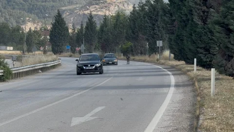 Karabük'te Eşek Trafiği Tehlikeye Soktu
