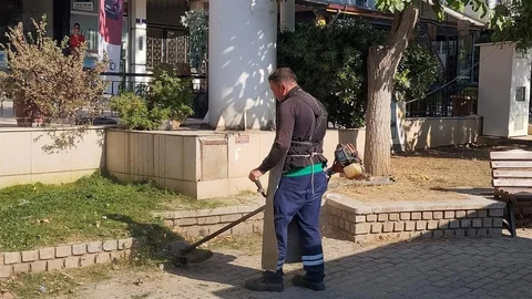 Aydın'da Yeşil Alan Düzenlemesi
