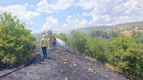 Bingöl'de Orman Yangını Kontrol Altına Alındı
