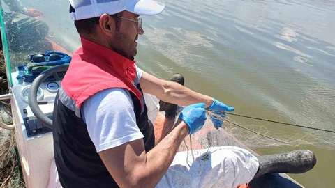Çorum'da Hayalet Ağ Ele Geçirildi