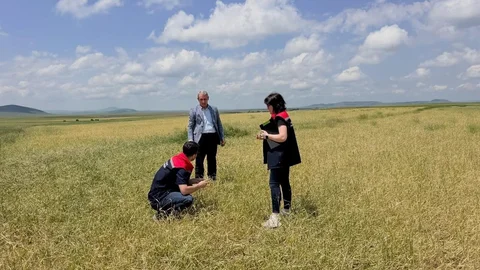 Kars'ta Fırtına ve Dolu Zararları İnceleniyor