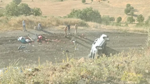 Elazığ'da Kamyonet Kazası