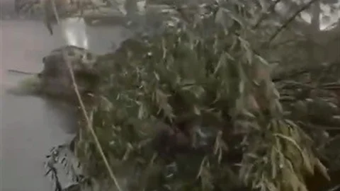 Kars'ta Fırtına Etkili Oldu