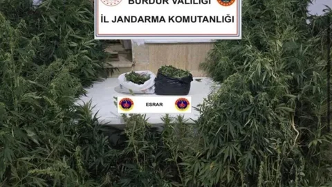 Burdur'da Kenevir Operasyonu Gerçekleşti
