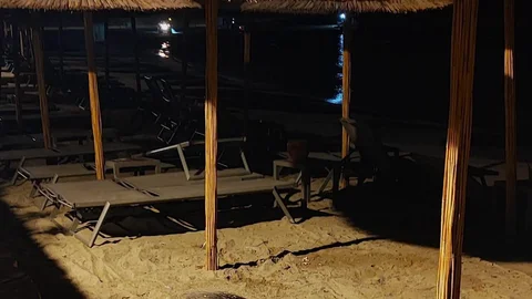 Aydın'da Caretta Caretta Hareketliliği