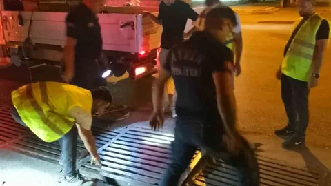 Aydın'da Mazgalda Mahsur Kalan Kedi Kurtarıldı