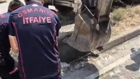 Osmaniye'de Yavru Kedi Kurtarıldı