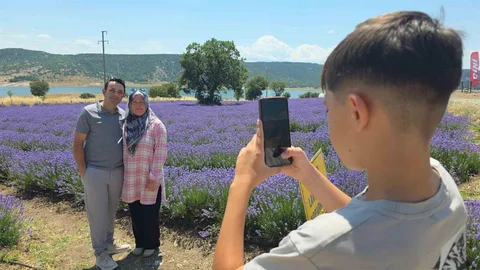 Kütahya'da Lavanta Bahçesi Açıldı