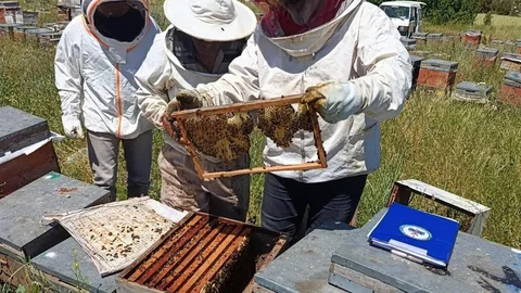 Tavşanlı'da Arıcılık İşletmeleri Ziyareti