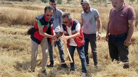 Tavşanlı'da Biçerdöver Kontrolleri Devam Ediyor