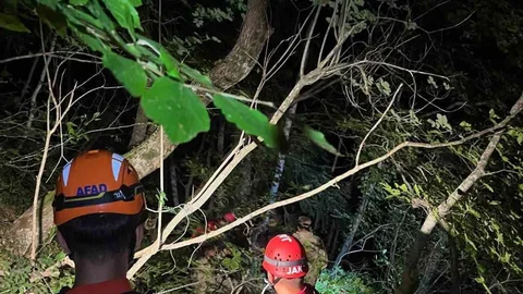 Kastamonu'da Uçuruma Düşen Şahıs Kurtarıldı