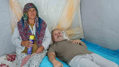 Aydın'da Sinek Sorunu Yaşanıyor
