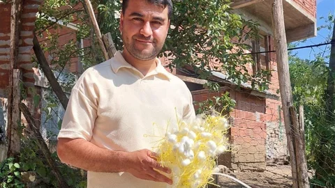 Ordu'da İpek Böceği Yetiştiriciliği Çağrısı