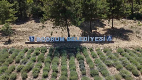 Muğla'da Gençlik Tarım Kampları Başladı