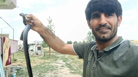 Siirt'te Yılanı Eliyle Yakaladı
