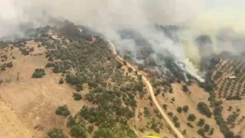 Bozdoğan'da Yangın Söndürme Çalışmaları Devam Ediyor